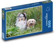 Shetlandský ovčák a Bišonek Puzzle 500 - 46x30 cm