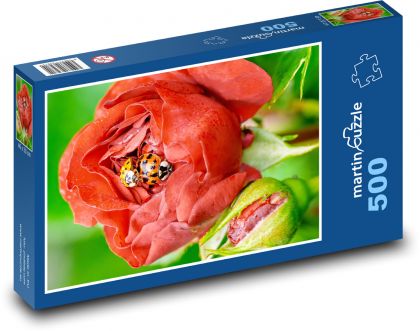 Rose und Sonnenblume - Puzzle - 500 Teile