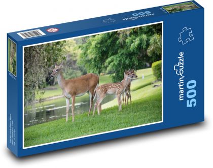 Jeleň v parku - Puzzle 500 dielikov, rozmer 46x30 cm 