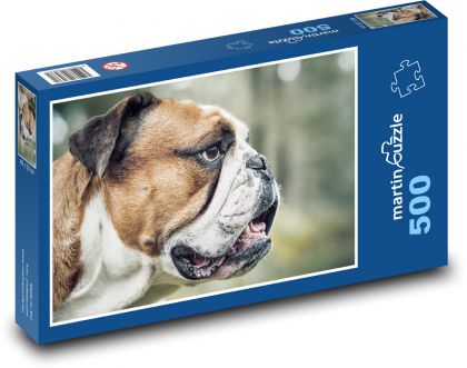 Pies - Buldog - Puzzle 500 elementów, rozmiar 46x30 cm