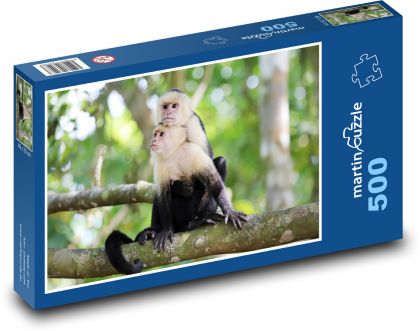 Kapuzineraffe - Puzzle - 500 Teile