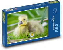 Hus - mláďa Puzzle 500 dielikov - 46 x 30 cm