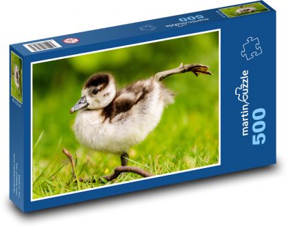 Nilgans - Puzzle - 500 Teile