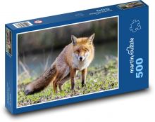 Liška Puzzle 500 dílků - 46 x 30 cm