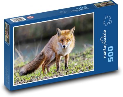 Liška - Puzzle 500 dielikov, rozmer 46x30 cm 