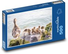 Kachny divoké Puzzle 500 - 46x30 cm