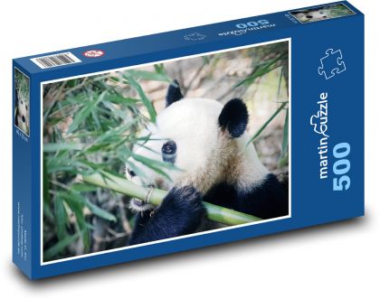 Panda - Puzzle - 500 Teile