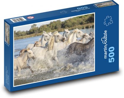 Źrebięta biegające w wodzie - Puzzle 500 elementów, rozmiar 46x30 cm