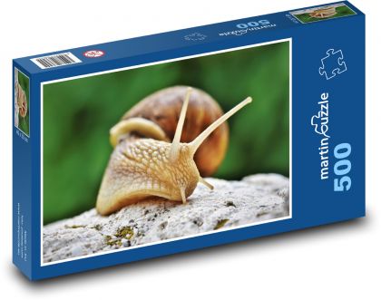 ślimak - Puzzle 500 elementów, rozmiar 46x30 cm