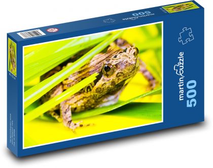 Żaba - Zworka - Puzzle 500 elementów, rozmiar 46x30 cm