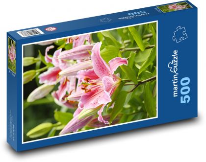 Lily Flower - Puzzle of 500 pieces, size 46x30 cm 