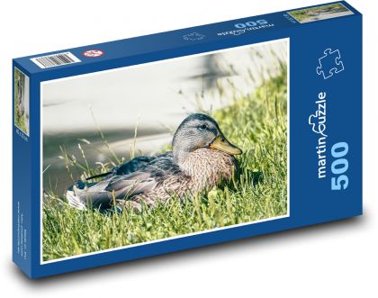Dzika Kaczka - Puzzle 500 elementów, rozmiar 46x30 cm