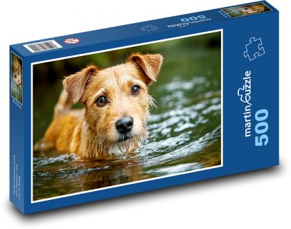 Dog in water - Puzzle of 500 pieces, size 46x30 cm 