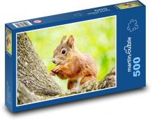 Veverka Puzzle 500 dílků - 46 x 30 cm