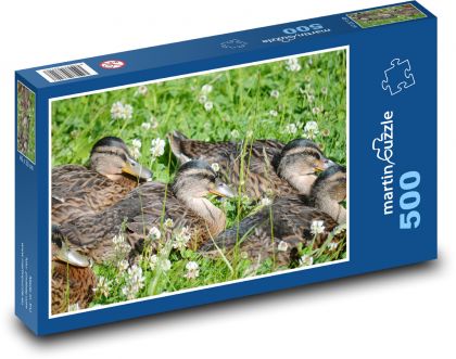 Kačiatka v tráve - Puzzle 500 dielikov, rozmer 46x30 cm 