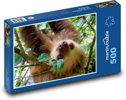 Lenochod na stromě - puzzle 500 dílků