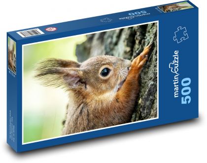 Veverka - Puzzle 500 dílků, rozměr 46x30 cm