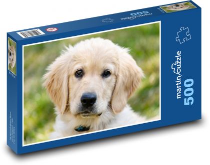 Labrador - šteniatko - Puzzle 500 dielikov, rozmer 46x30 cm 