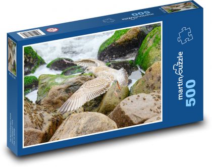 Racek letící nad pobřežím - puzzle 500 dílků