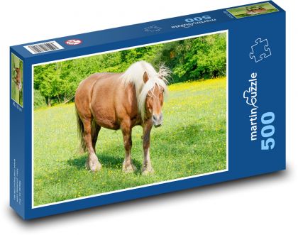 Horse in the pasture - Puzzle of 500 pieces, size 46x30 cm 