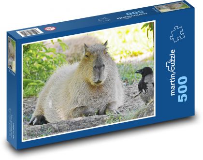 Kapybara - puzzle 500 dílků