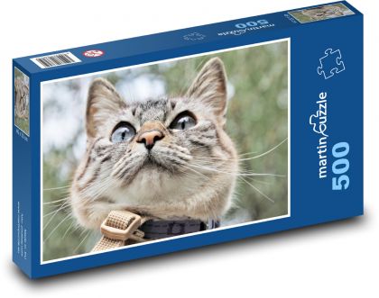 Szary kot - Puzzle 500 elementów, rozmiar 46x30 cm