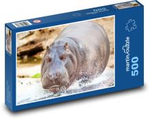 Nilpferd im Wasser Puzzle 500 Teile - 46 x 30 cm