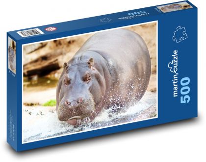 Nilpferd im Wasser - Puzzle - 500 Teile
