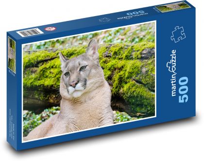 Puma - wild beast - Puzzle of 500 pieces, size 46x30 cm 