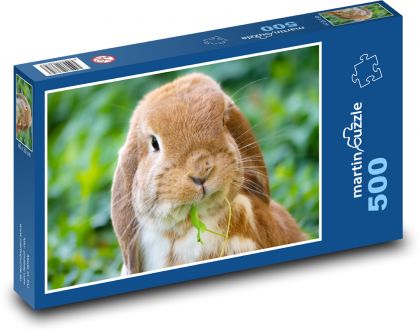 Hauskaninchen - Puzzle - 500 Teile