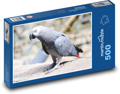 Papagáj sivý - Puzzle 500 dielikov, rozmer 46x30 cm 