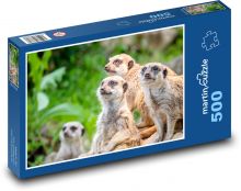 Surikaty Puzzle 500 dílků - 46 x 30 cm