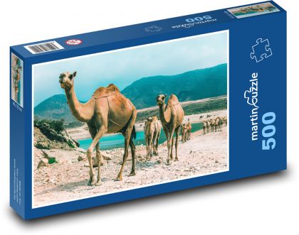 Ťavy - Omán - Puzzle 500 dielikov, rozmer 46x30 cm 