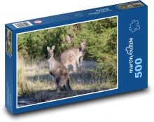 Känguru Puzzle 500 Teile - 46 x 30 cm