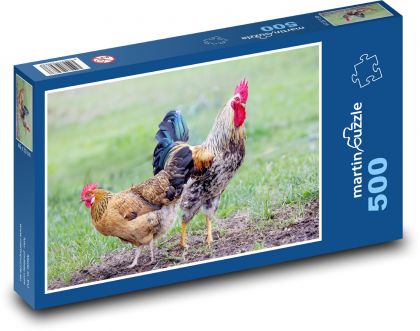 Hahn und Hühner - Puzzle - 500 Teile