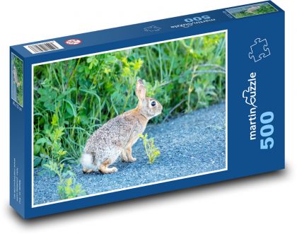 Rabbit - Puzzle of 500 pieces, size 46x30 cm 