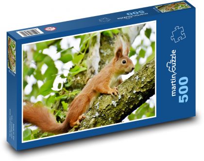 Veverička - hlodavec - Puzzle 500 dielikov, rozmer 46x30 cm 