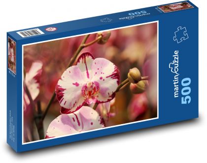 Kvety orchideí - Puzzle 500 dielikov, rozmer 46x30 cm 