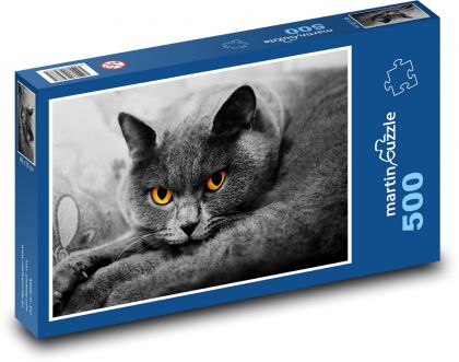 Brytyjski kot długowłosy - Puzzle 500 elementów, rozmiar 46x30 cm