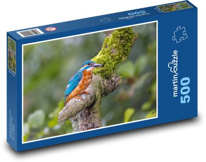 Eisvogel - Puzzle - 500 Teile