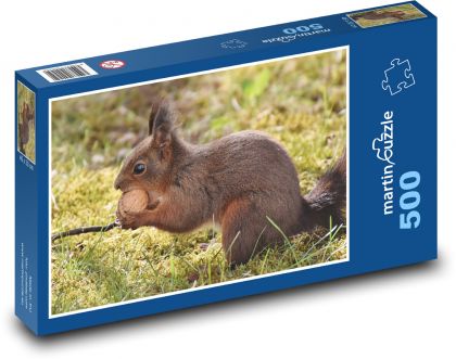 Veverka - hlodavec - puzzle 500 dílků