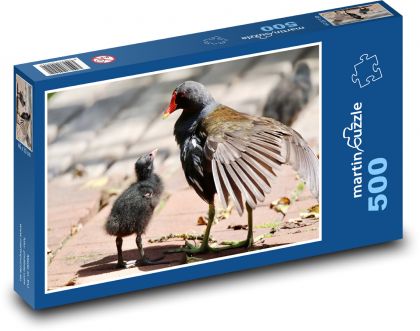 Owca zwyczajna - ptak - Puzzle 500 elementów, rozmiar 46x30 cm