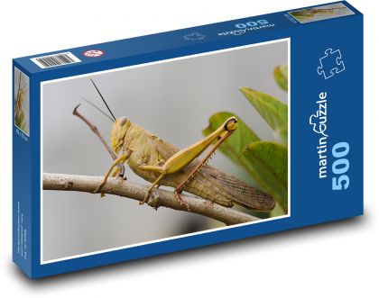 Locusts - insects - Puzzle of 500 pieces, size 46x30 cm 