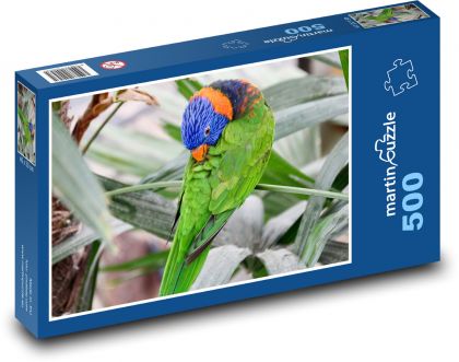Dúhový papagáj - Puzzle 500 dielikov, rozmer 46x30 cm 