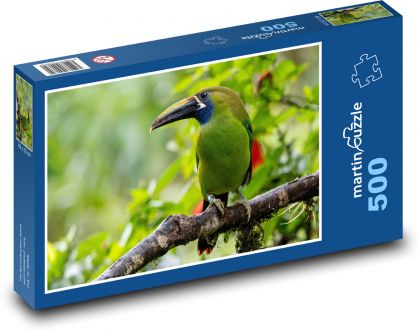 Tukan - ptak - Puzzle 500 elementów, rozmiar 46x30 cm