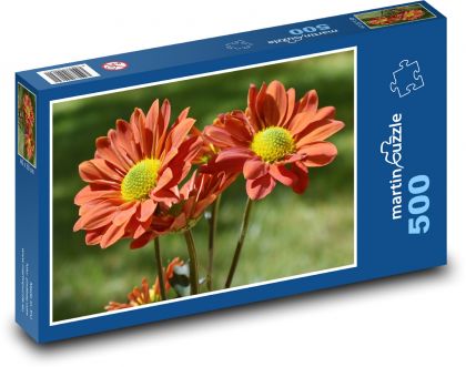 Astra - Blume - Puzzle - 500 Teile