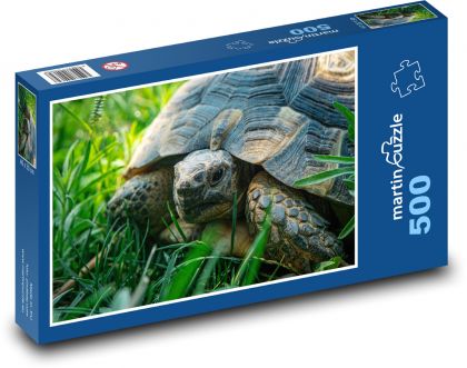 Schildkröte auf der Wiese - Puzzle - 500 Teile