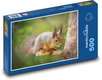 Veverka na stromě - puzzle 500 dílků