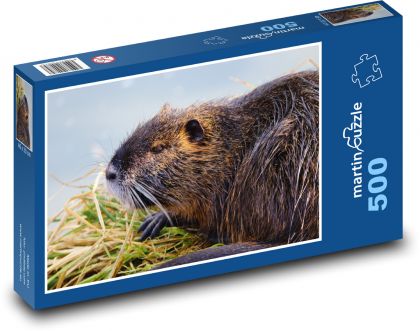 Nutrie - puzzle 500 dílků