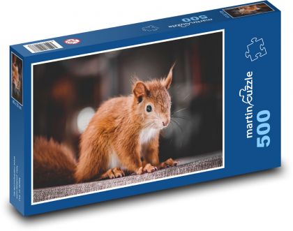 Rezavá veverka - puzzle 500 dílků